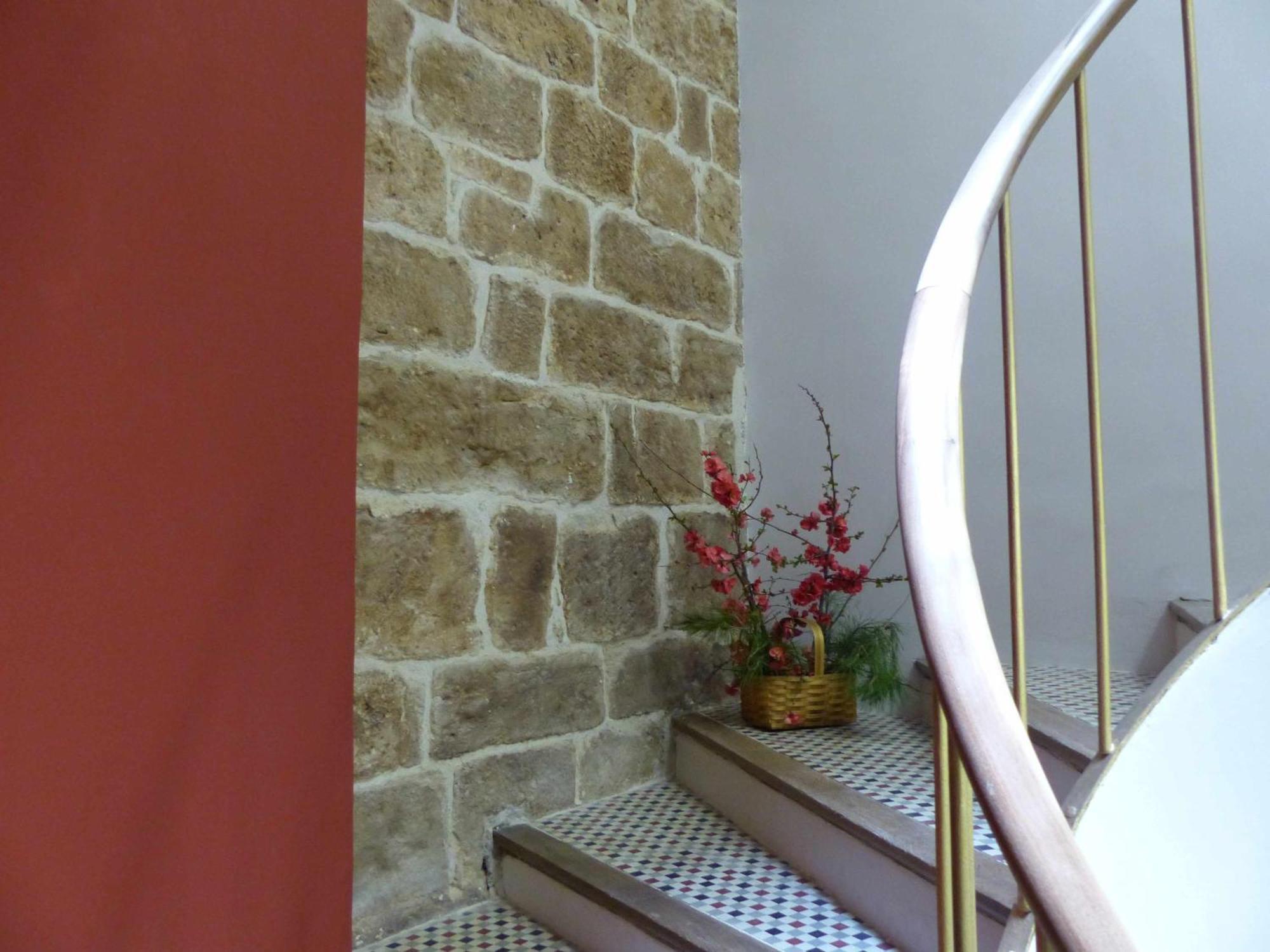 Apartamento Ábside de San Juan I Estella Exterior foto